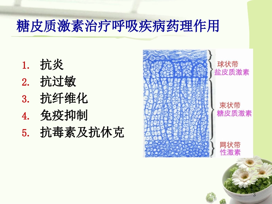 糖皮质激素在呼吸科的应用.pptx_第3页