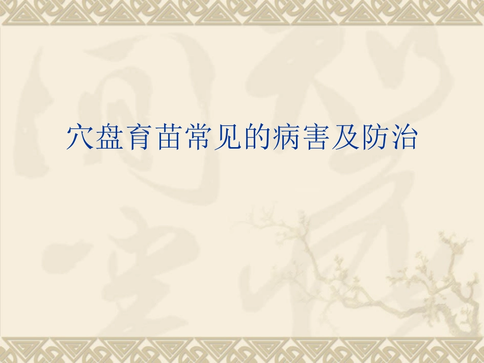 穴盘育苗常见的病害及防治.ppt_第1页