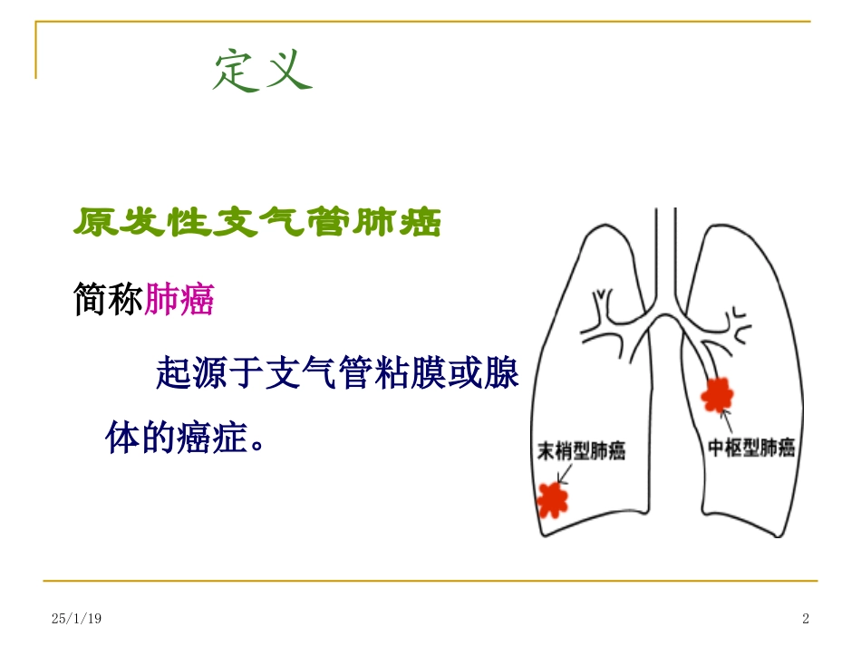 纤维支气管镜.ppt_第2页
