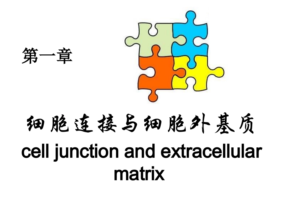 细胞信号转导精品ppt.pptx_第2页