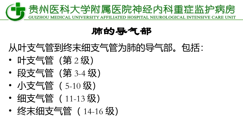 纤维支气管镜.pptx_第2页