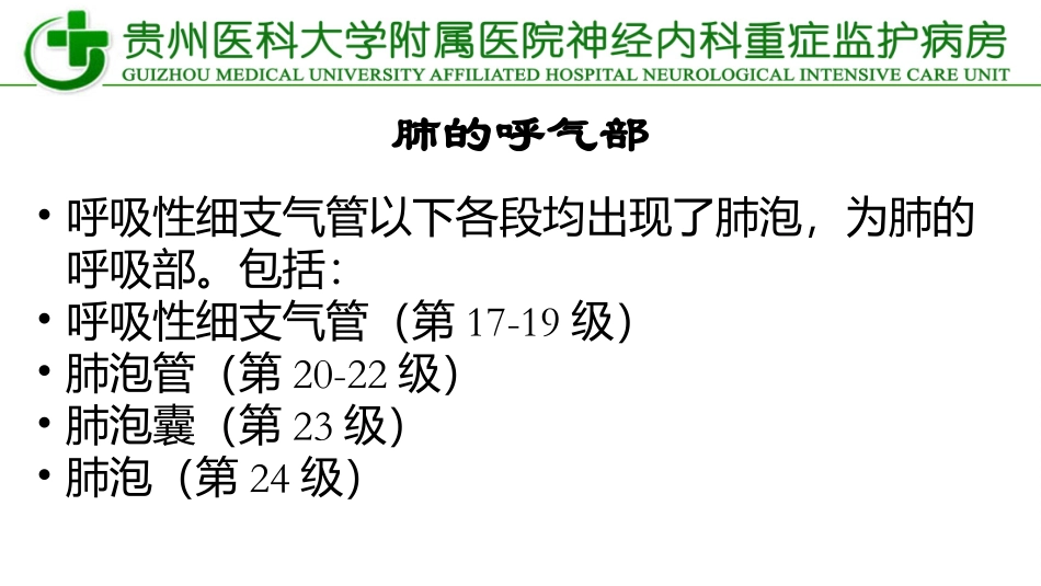 纤维支气管镜.pptx_第3页