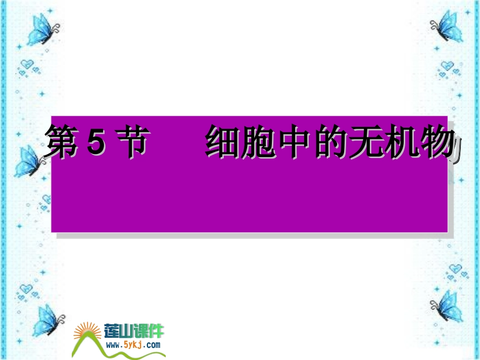 细胞中的有机物3正式版.ppt_第1页