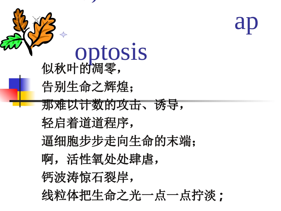 细胞凋亡及机制检测.ppt_第1页