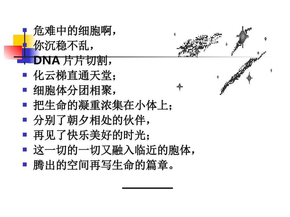 细胞凋亡及机制检测.ppt_第2页