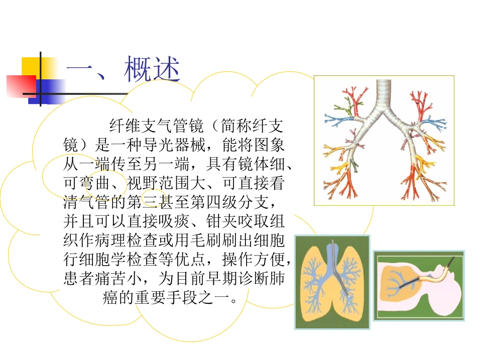 纤维支气管镜检查的注意事项.ppt_第3页