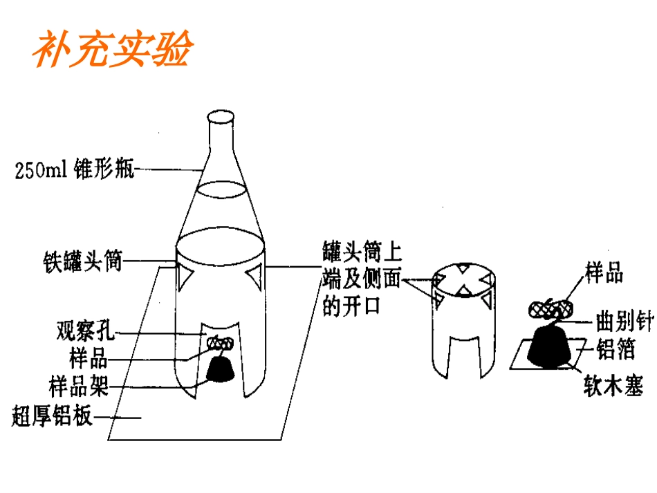 细胞呼吸.ppt_第3页