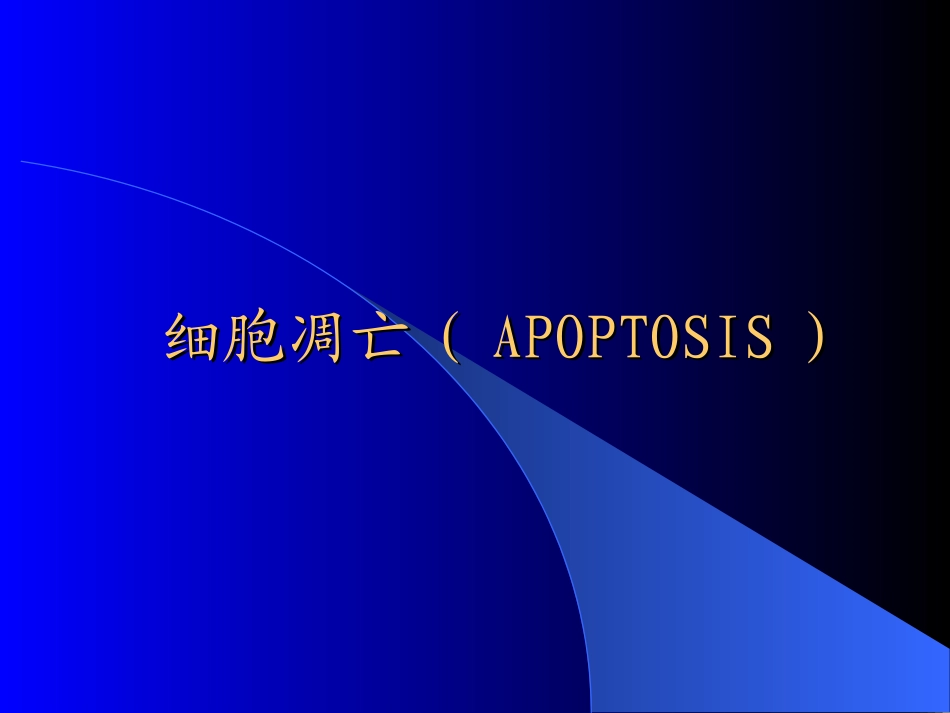 细胞凋亡.ppt_第1页