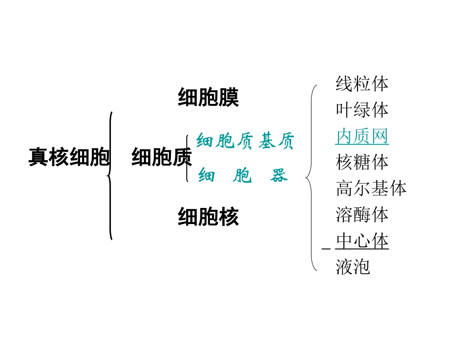 细胞器-系统内的合作分工.ppt_第1页