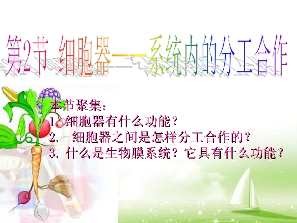 细胞器-系统内的合作分工.ppt_第2页
