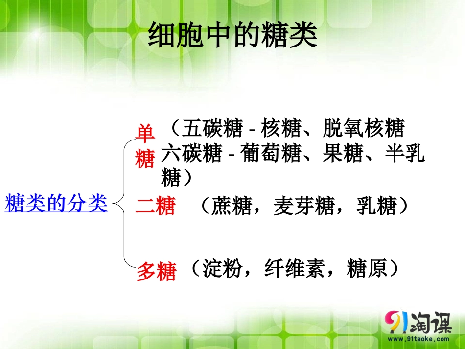 细胞中的无机物-(2).ppt_第1页