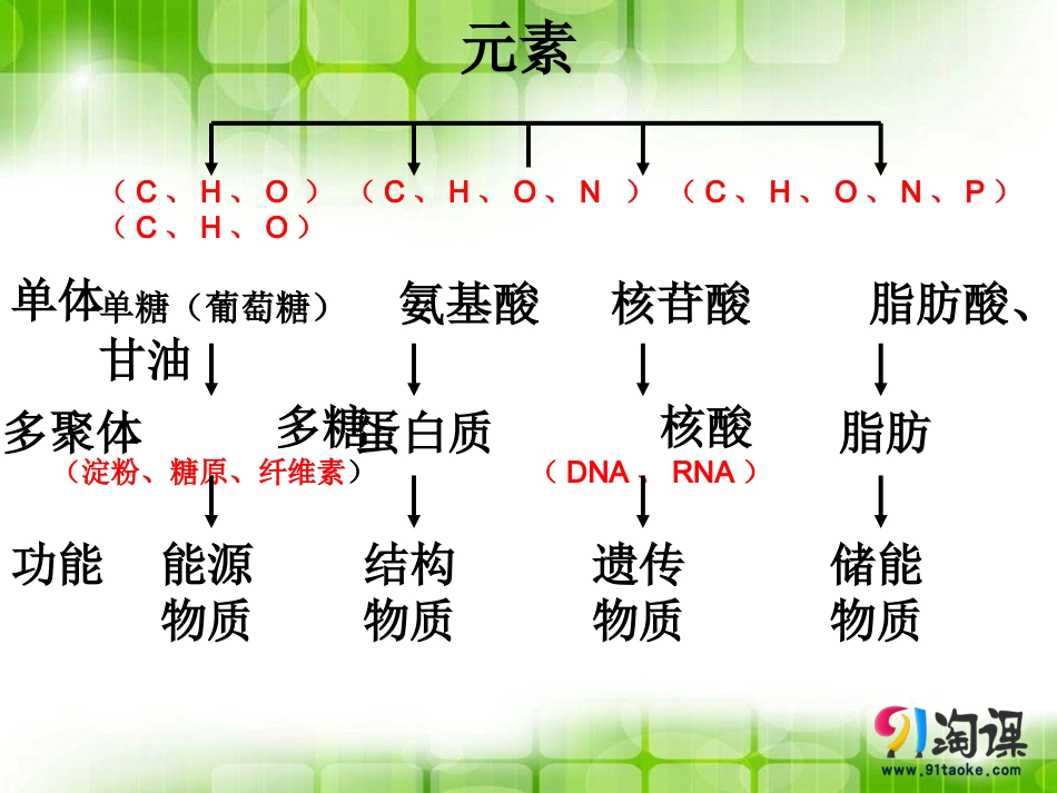 细胞中的无机物-(2).ppt_第3页