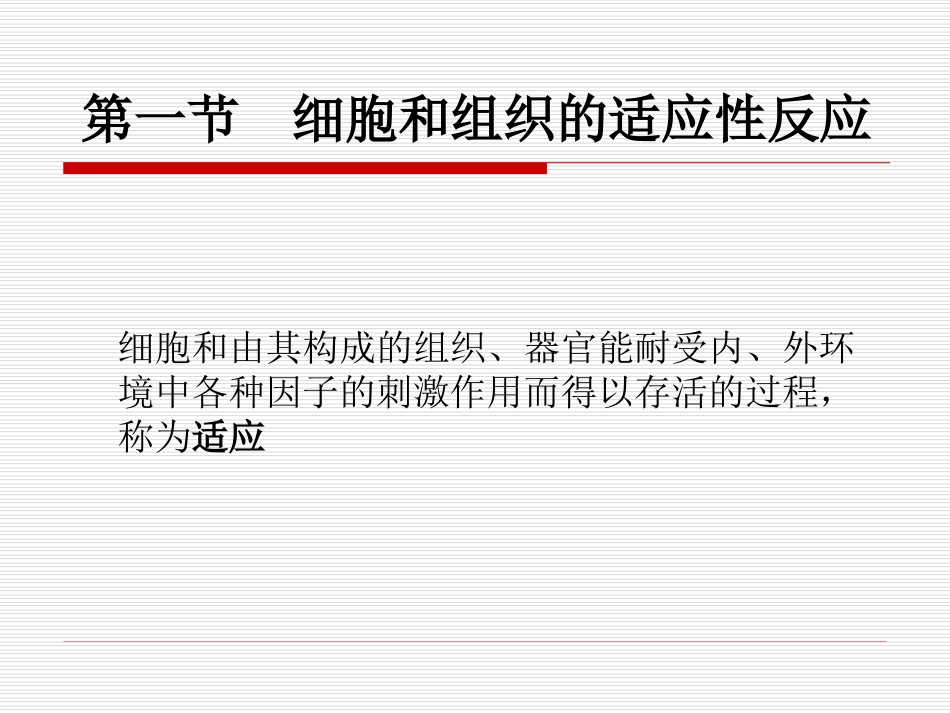 纤维性骨痂形成3.ppt_第2页