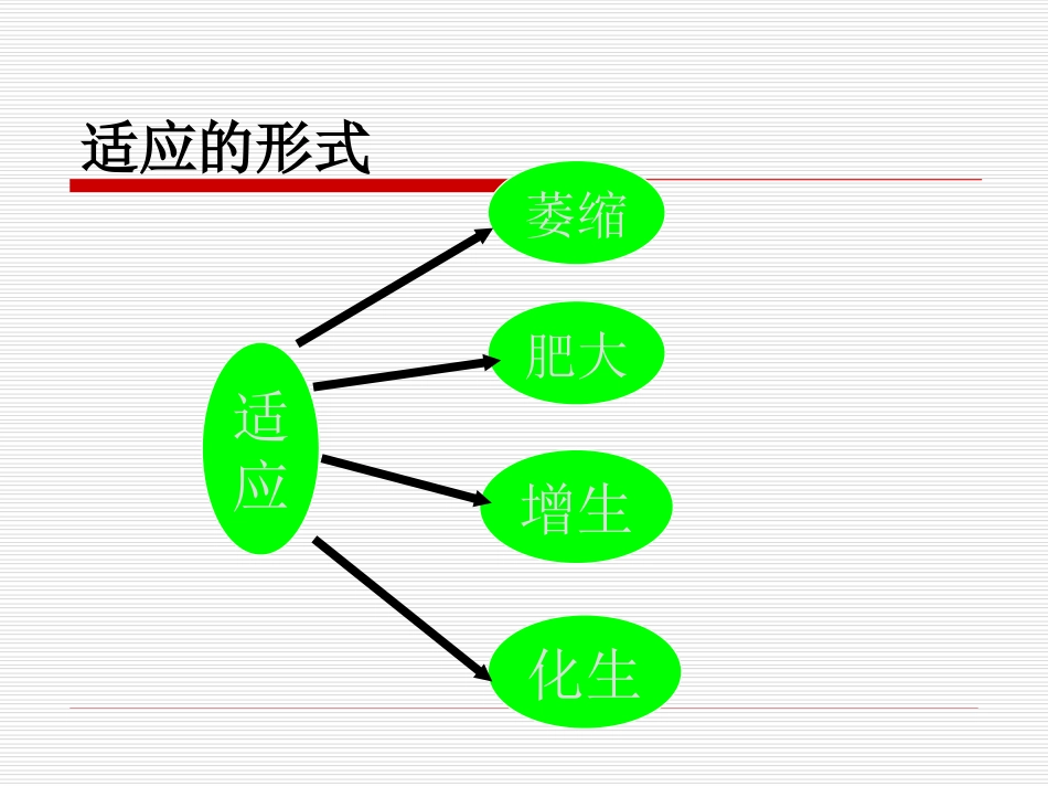 纤维性骨痂形成3.ppt_第3页