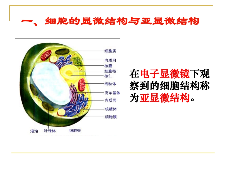 细胞器──系统内的分工合作-ppt.ppt_第3页