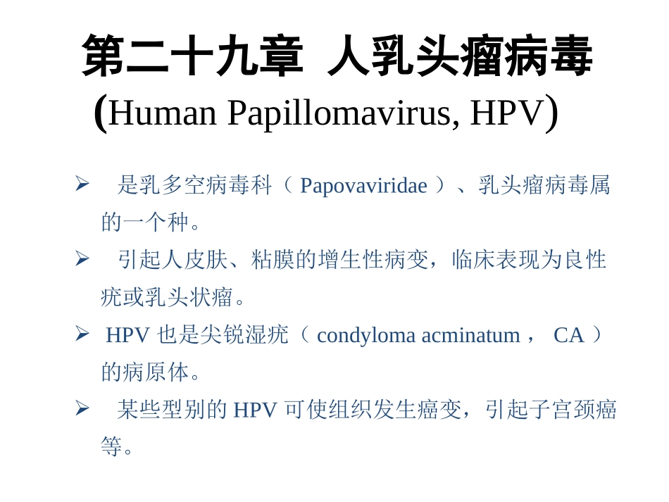 细胞朊蛋白.ppt_第1页