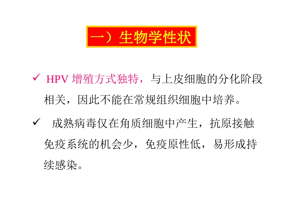 细胞朊蛋白.ppt_第3页