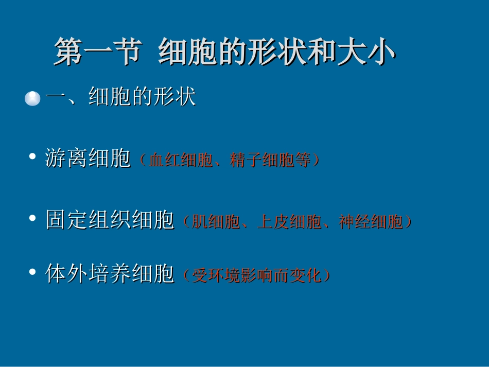 细胞的基本形态及类型.ppt_第1页