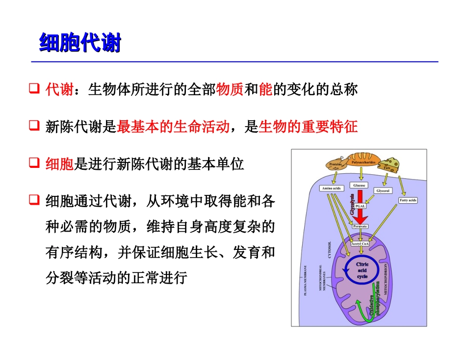 细胞代谢.ppt_第2页
