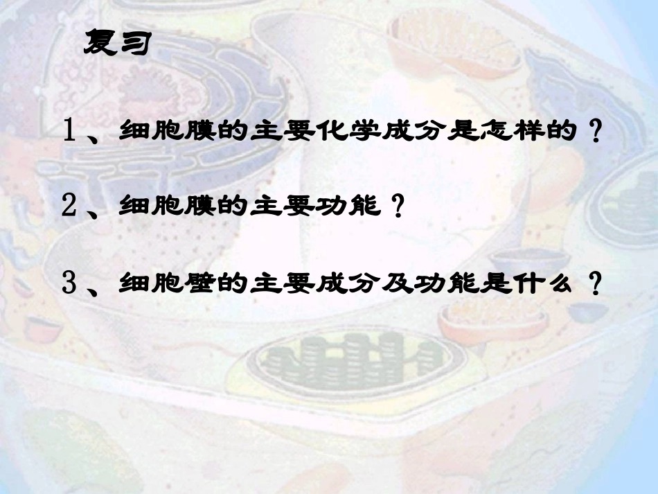 细胞器--系统内的分工合作(公开课).ppt_第1页