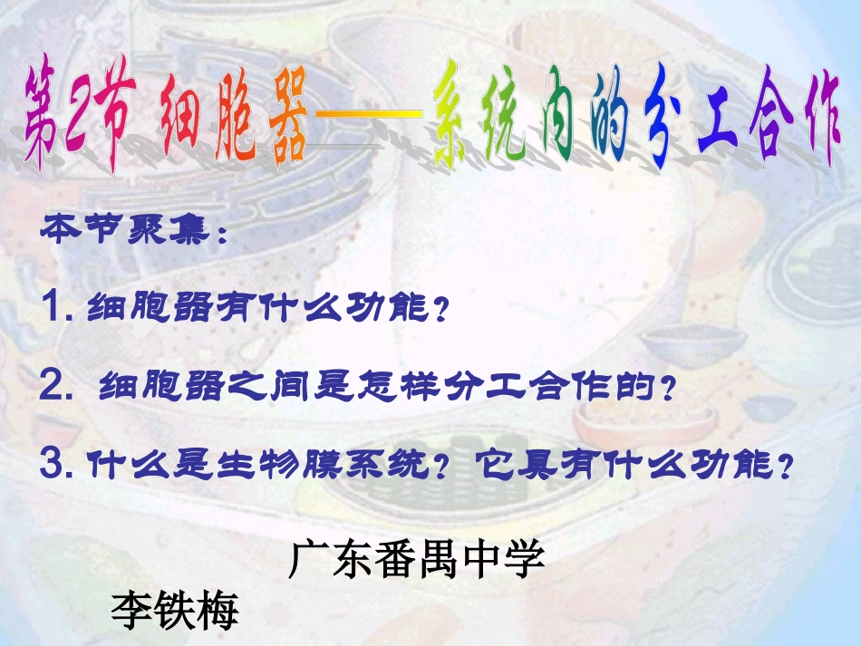 细胞器--系统内的分工合作(公开课).ppt_第2页