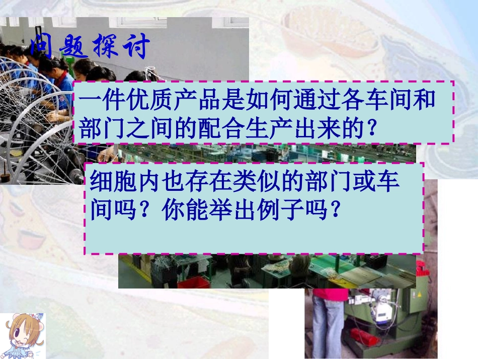 细胞器--系统内的分工合作(公开课).ppt_第3页