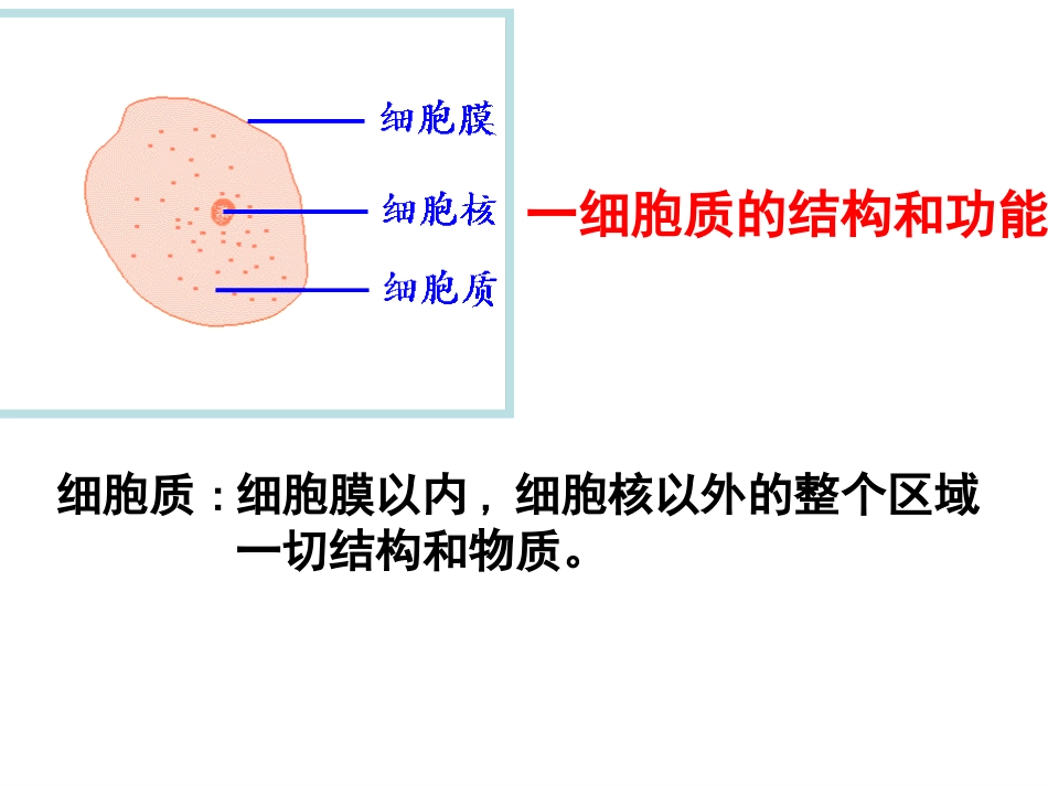 细胞器--系统内的分工与合作.ppt_第2页