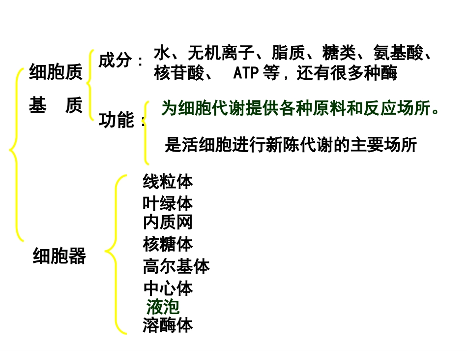 细胞器--系统内的分工与合作.ppt_第3页