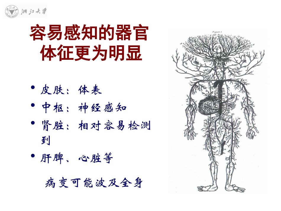 系统性血管炎的诊治思路.ppt_第3页