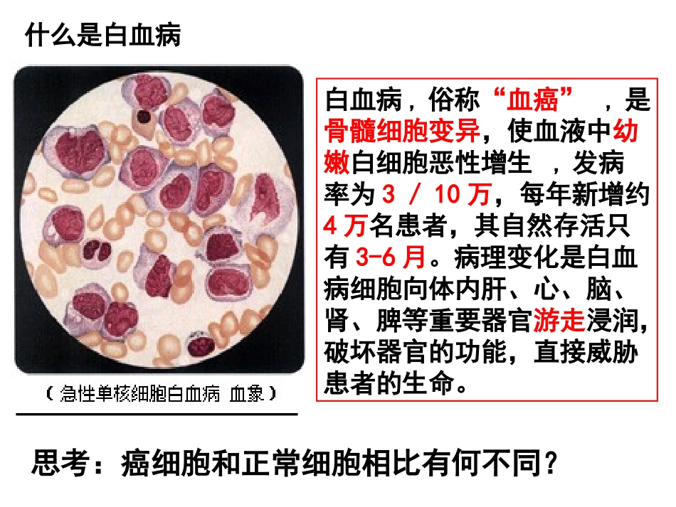 细胞分化要和.ppt_第3页