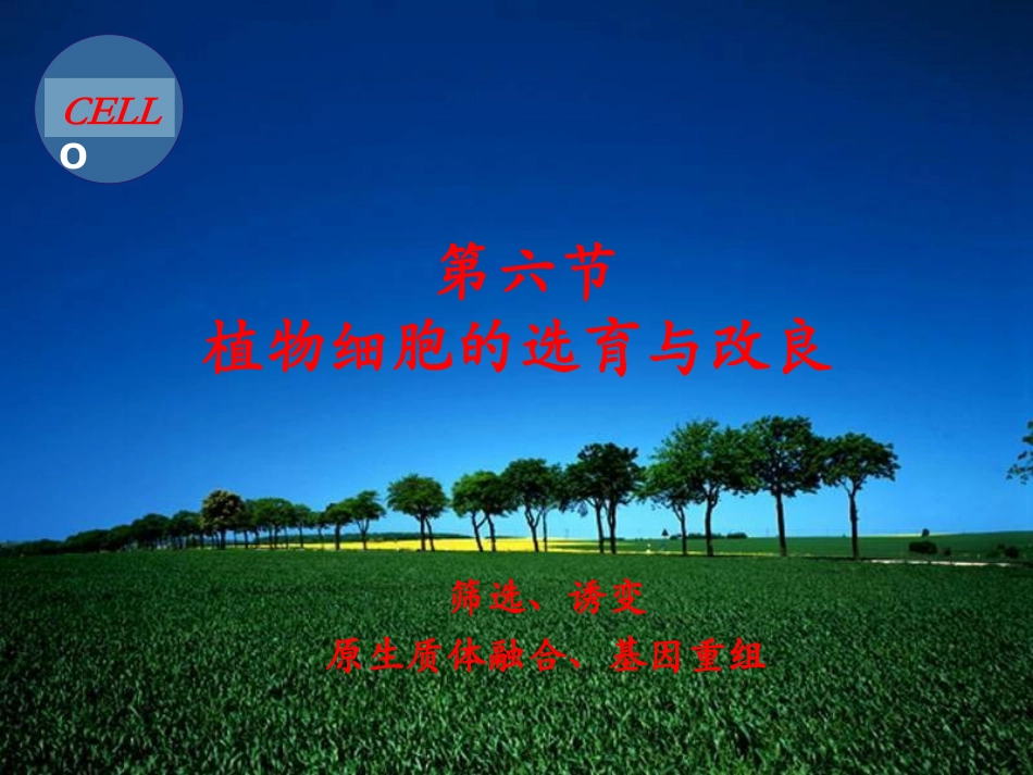 细胞工程-第三章-植物组织培养技术4-(2).ppt_第1页