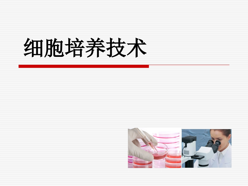 细胞培养技术.ppt_第1页