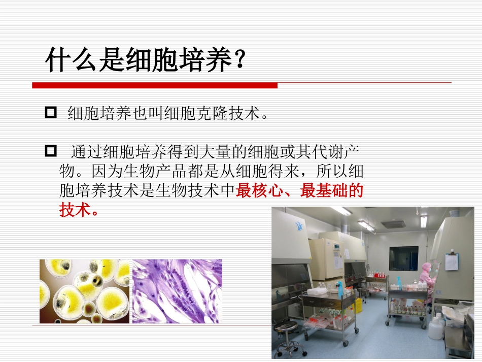 细胞培养技术.ppt_第2页