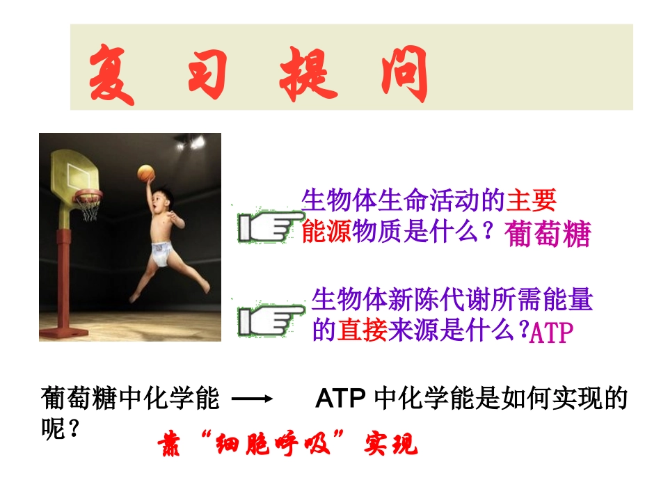 细胞呼吸丁智慧课堂.ppt_第1页