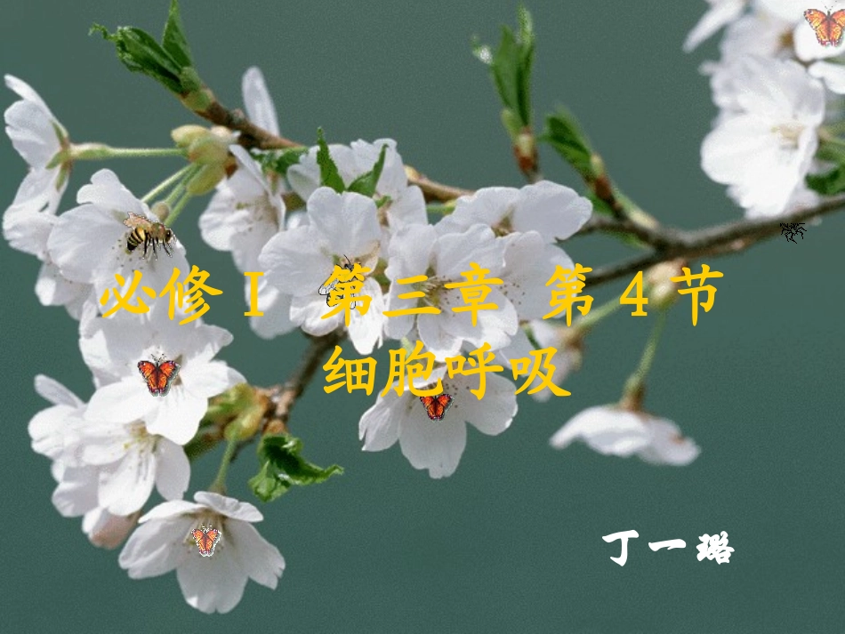 细胞呼吸丁智慧课堂.ppt_第2页