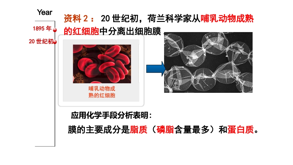 细胞膜的探究历程.pptx_第3页