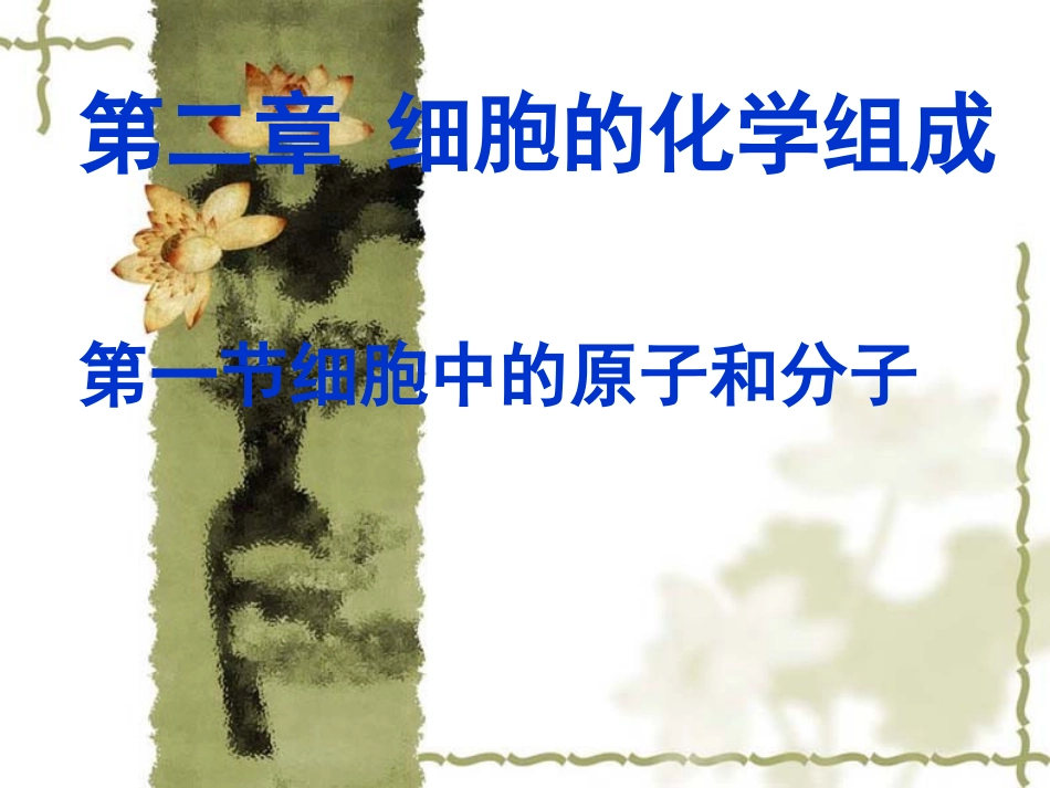 细胞中的原子及分子.ppt_第2页