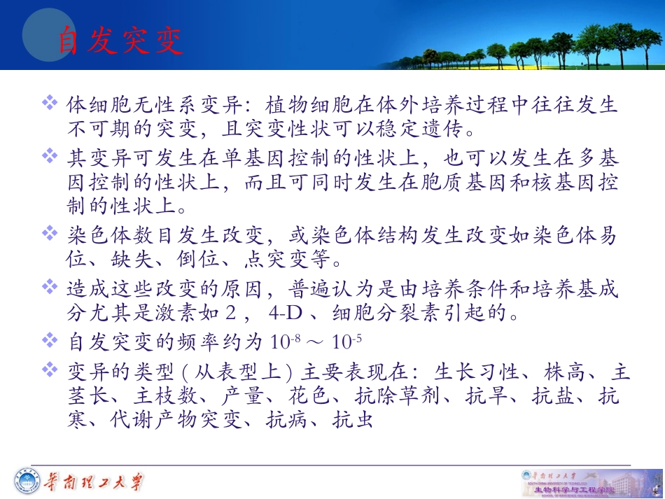 细胞工程-第三章-植物组织培养技术4.ppt_第3页