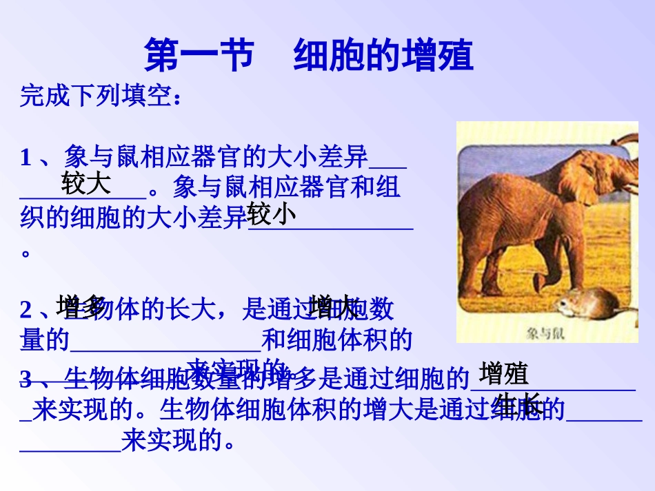 细胞的增殖ppt.ppt_第2页