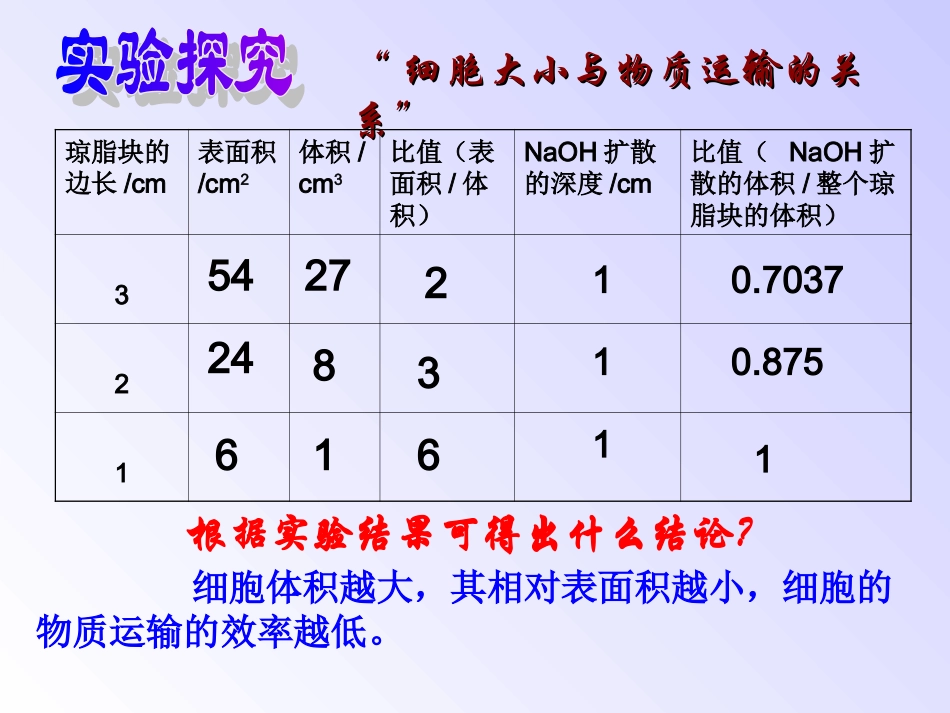 细胞的增殖ppt.ppt_第3页