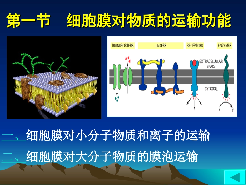 细胞膜的功能...ppt_第2页
