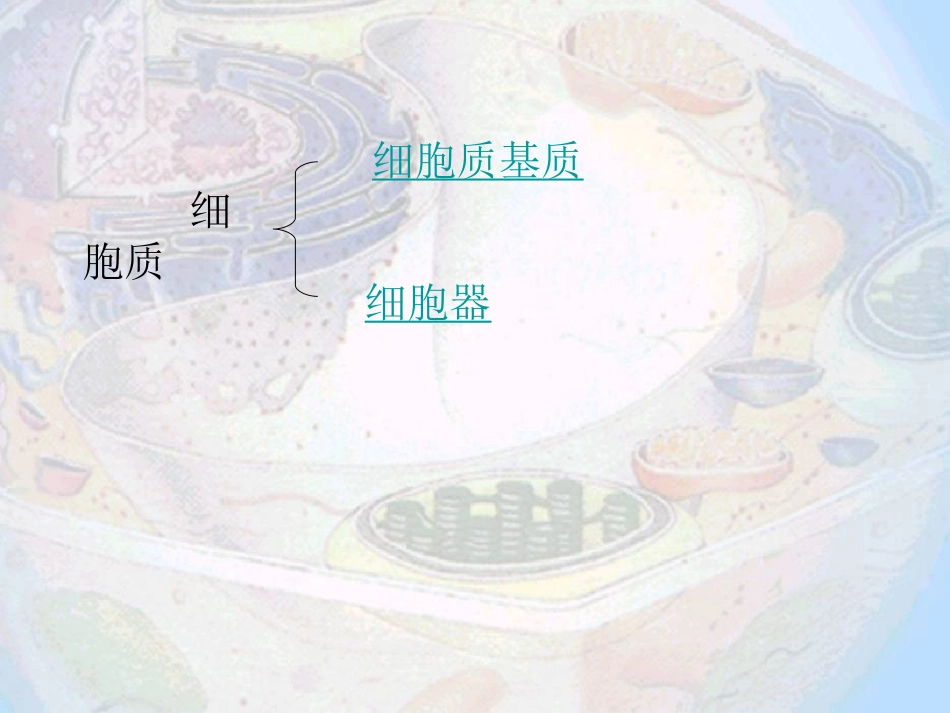 细胞质内部结构.ppt_第2页