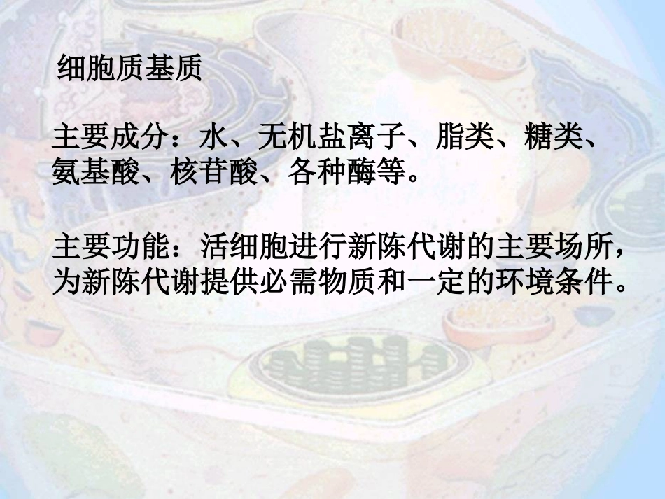 细胞质内部结构.ppt_第3页