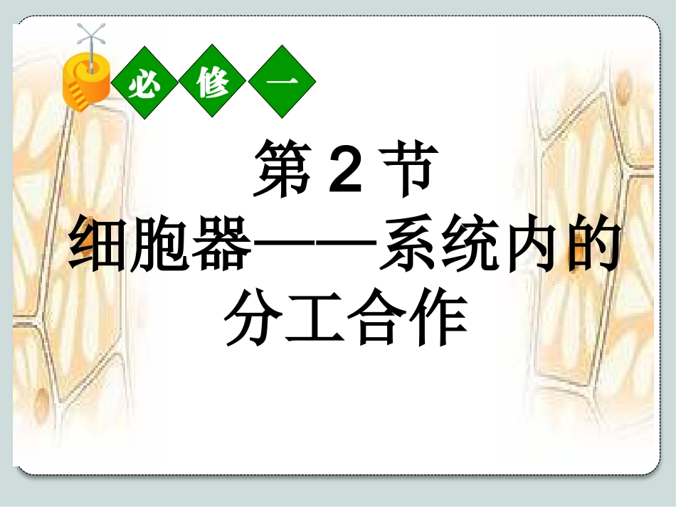 细胞器--系统内的分工合作(共30张PPT).pptx_第1页