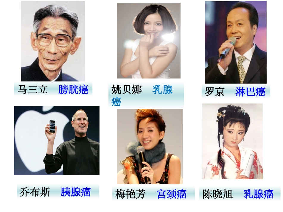 细胞的癌变LX课.ppt_第3页