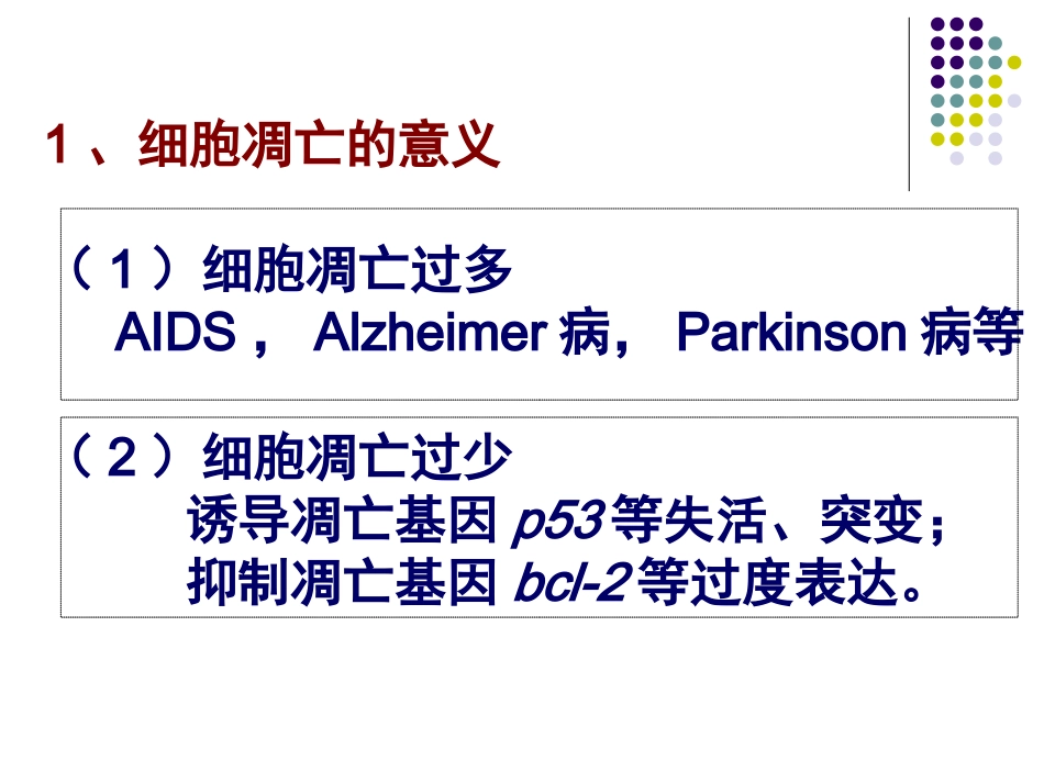 细胞凋亡的机制.ppt_第2页
