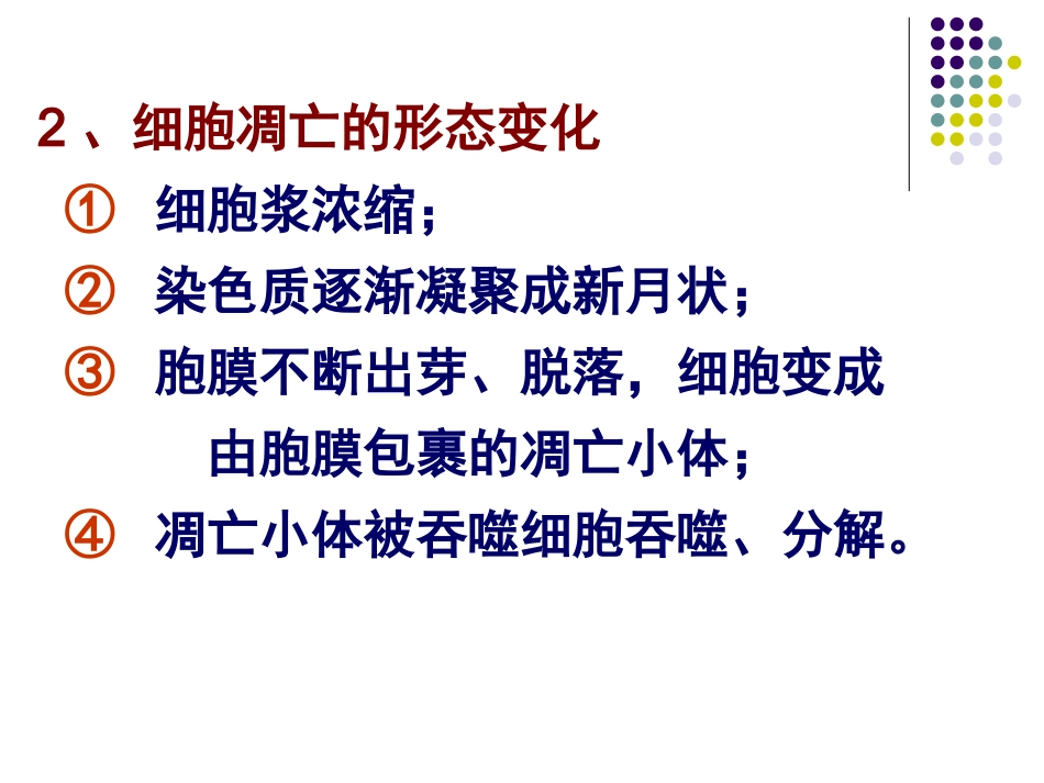 细胞凋亡的机制.ppt_第3页