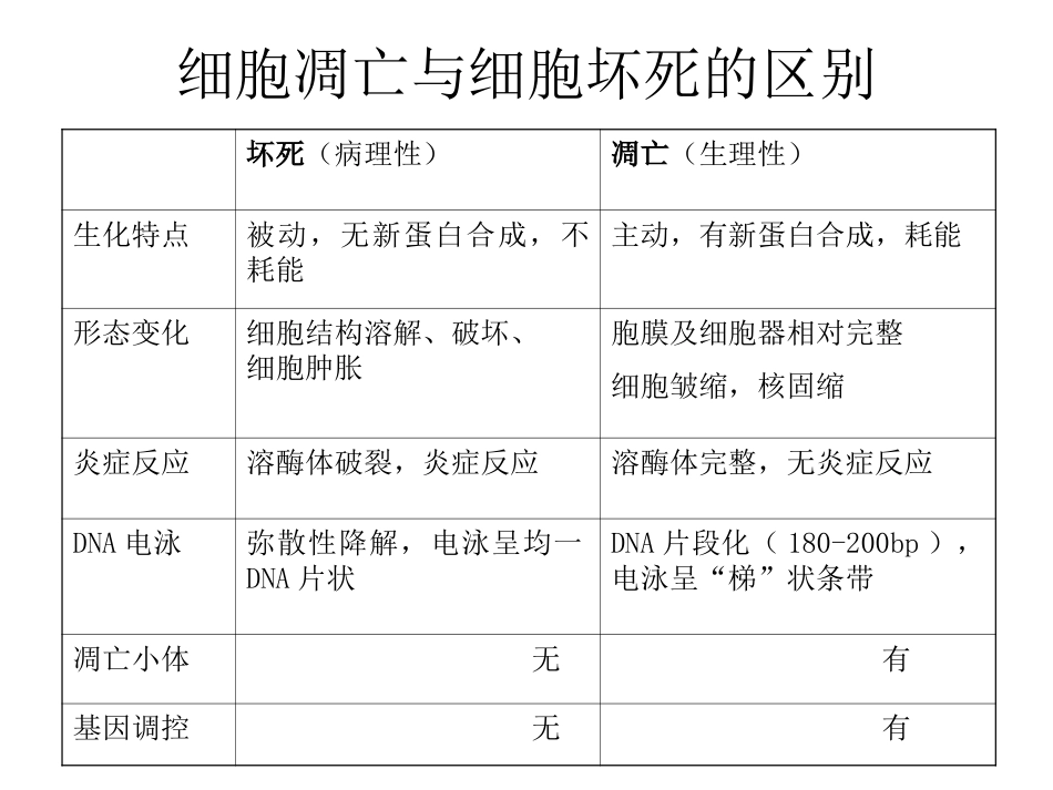 细胞凋亡的信号通路.ppt_第3页
