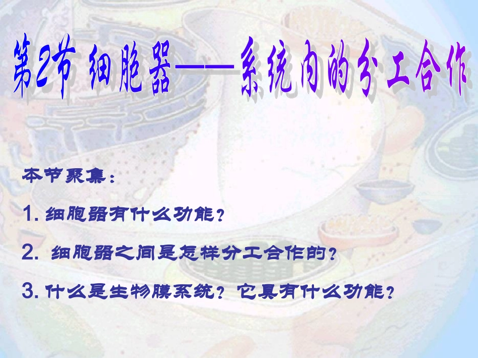 细胞器系统内的分工合作10.ppt_第1页