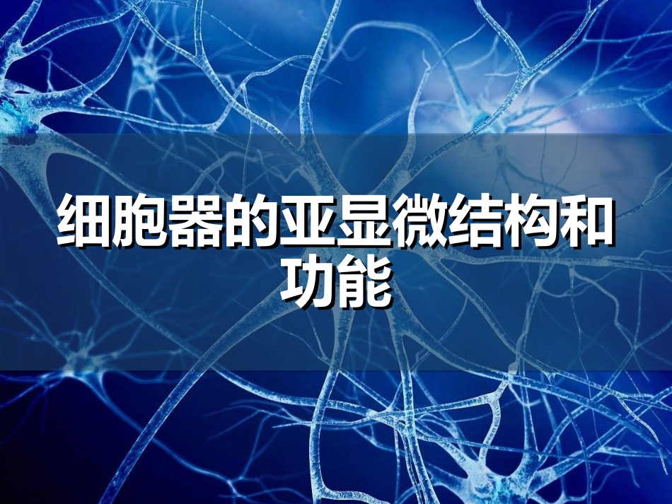 细胞器的亚显微结构和功能.ppt_第1页